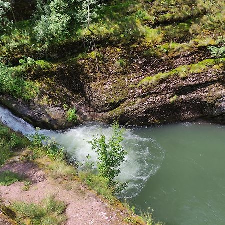 Vila Zapis - Zavojsko Jezero Pirot Dış mekan fotoğraf