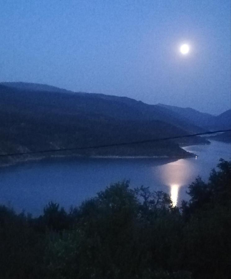 Vila Zapis - Zavojsko Jezero Pirot Dış mekan fotoğraf