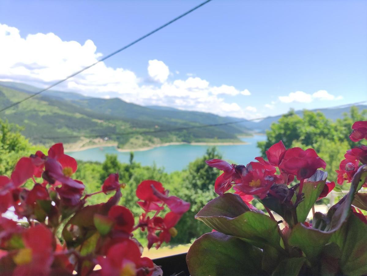 Vila Zapis - Zavojsko Jezero Pirot Dış mekan fotoğraf