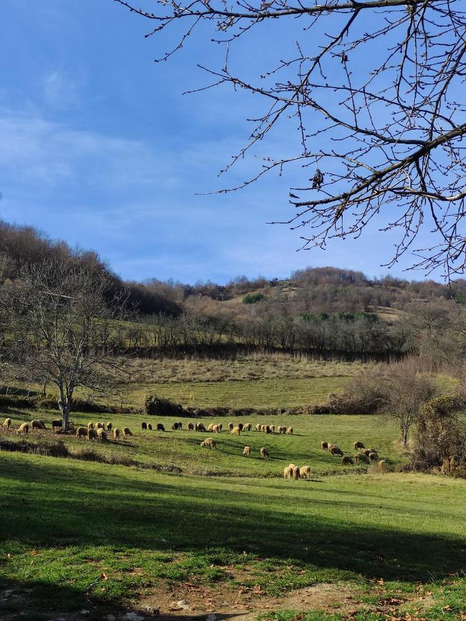 Vila Zapis - Zavojsko Jezero Pirot Dış mekan fotoğraf