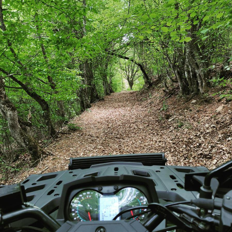 Vila Zapis - Zavojsko Jezero Pirot Dış mekan fotoğraf