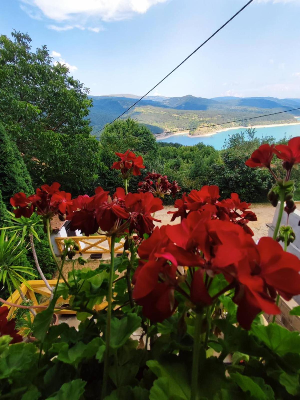 Vila Zapis - Zavojsko Jezero Pirot Dış mekan fotoğraf